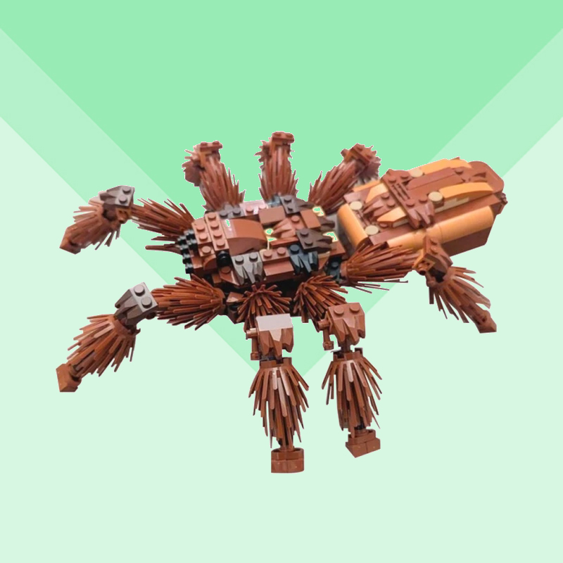 RSA Tarantula