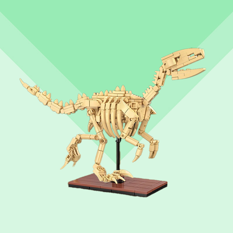 Skeleton Raptor